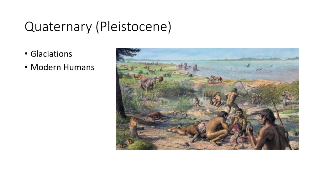 quaternary pleistocene