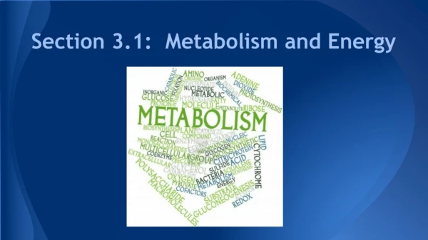 Section 3.1: Metabolism and Energy