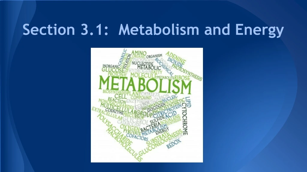 section 3 1 metabolism and energy