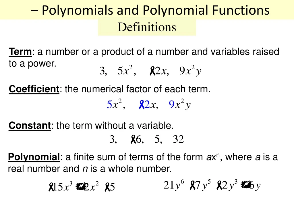polynomials and polynomial functions