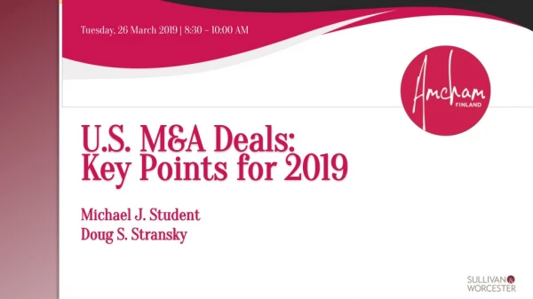 U.S. M&amp;A Deals: Key Points for 2019