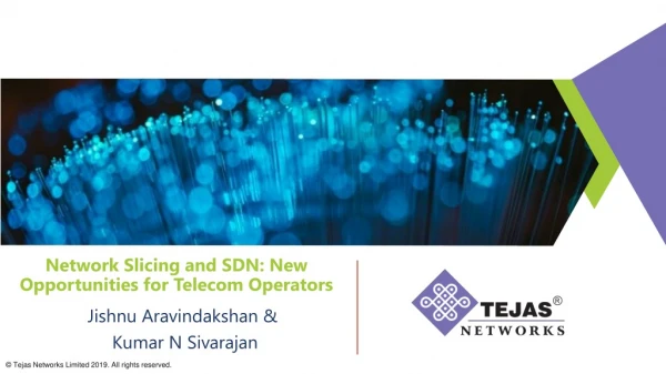 Network Slicing and SDN: New Opportunities for Telecom Operators