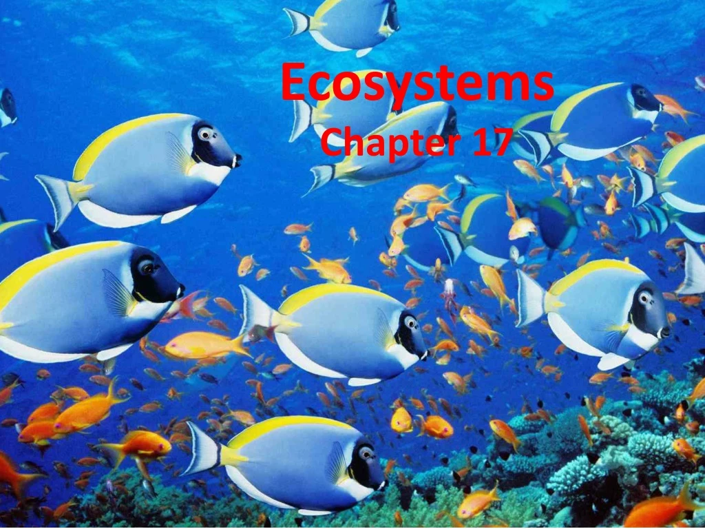 ecosystems