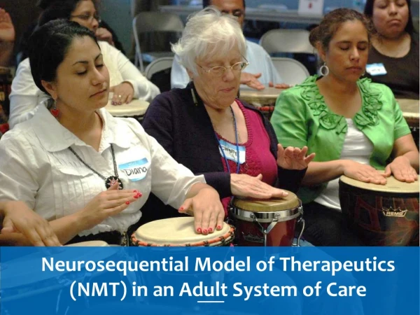 Neurosequential Model of Therapeutics (NMT) in an Adult System of Care