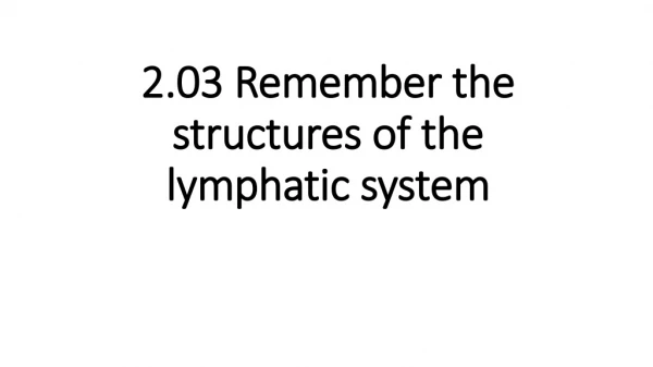 2.03 Remember the structures of the lymphatic system