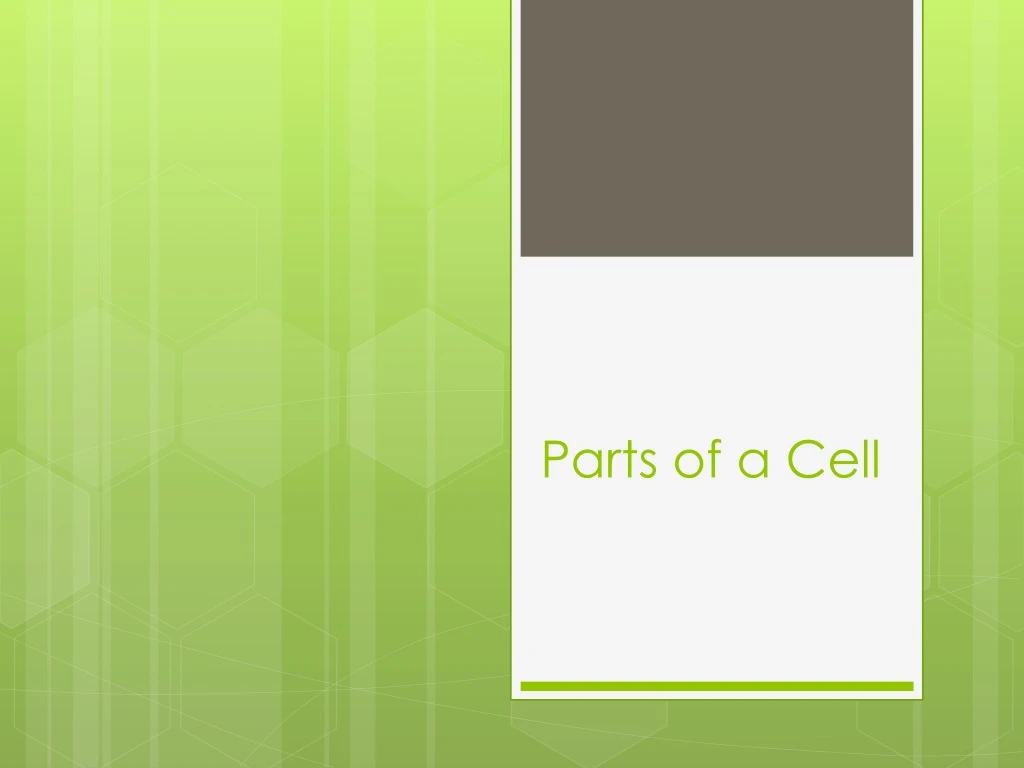 parts of a cell