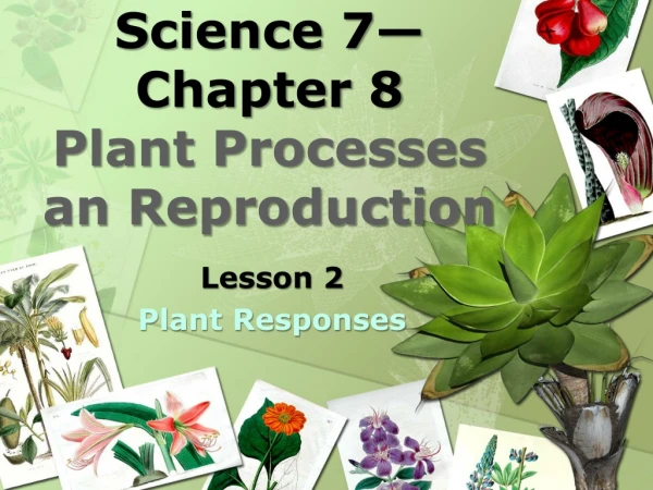 Science 7—Chapter 8 Plant Processes an Reproduction