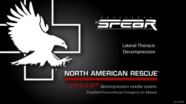 S P E A R™ decompression needle system