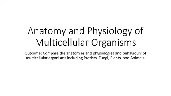 Anatomy and Physiology of Multicellular Organisms