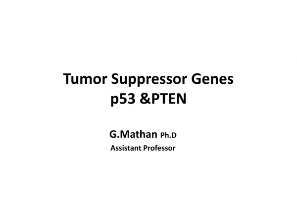 Tumor Suppressor Genes p53 &amp;PTEN