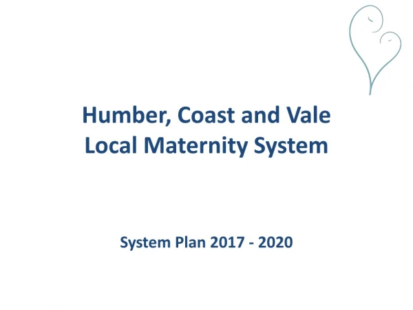 Humber, Coast and Vale Local Maternity System