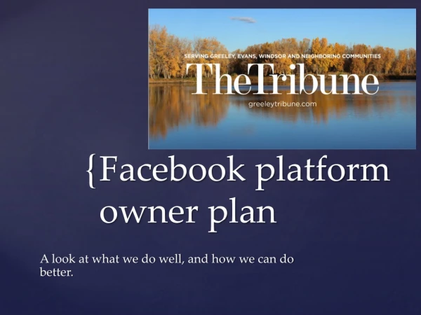 Facebook platform owner plan