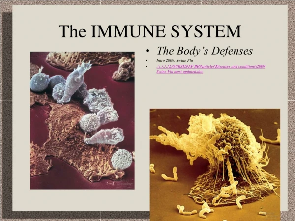 The IMMUNE SYSTEM