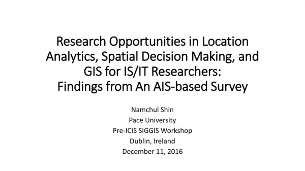 Namchul Shin Pace University Pre-ICIS SIGGIS Workshop Dublin, Ireland December 11, 2016