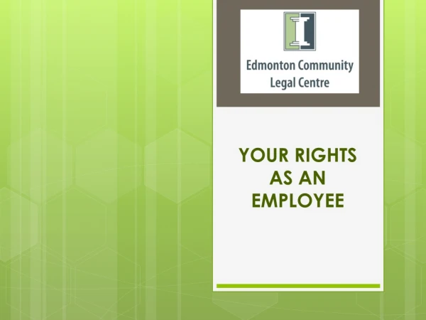 YOUR RIGHTS AS AN EMPLOYEE