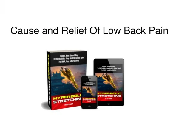 Cause and Relief Of Low Back Pain Relief