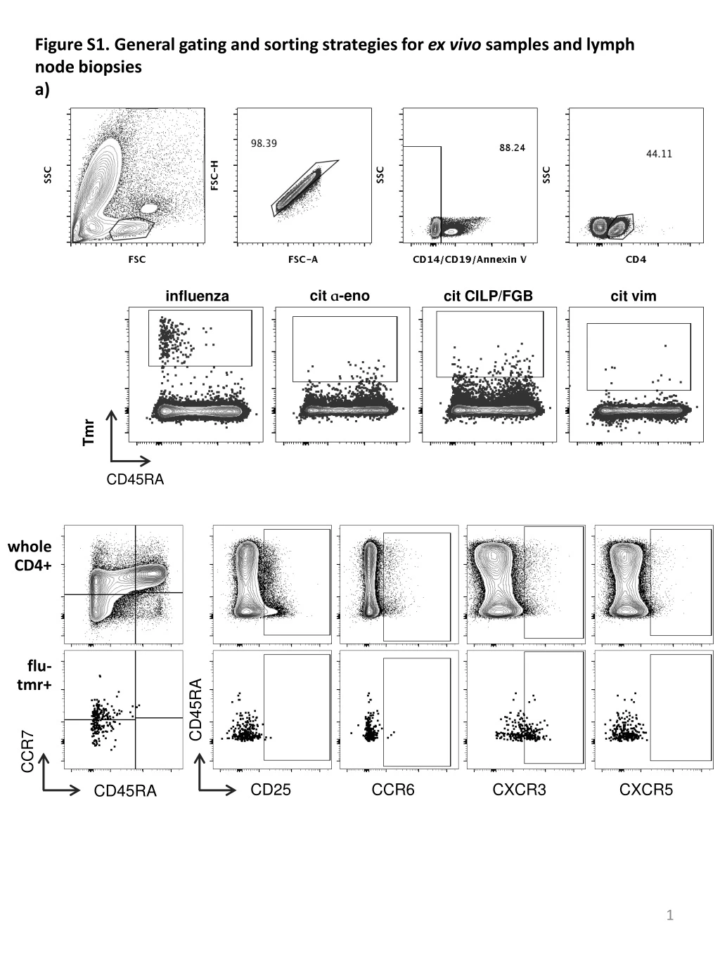 figure s1 general gating and sorting s trategies