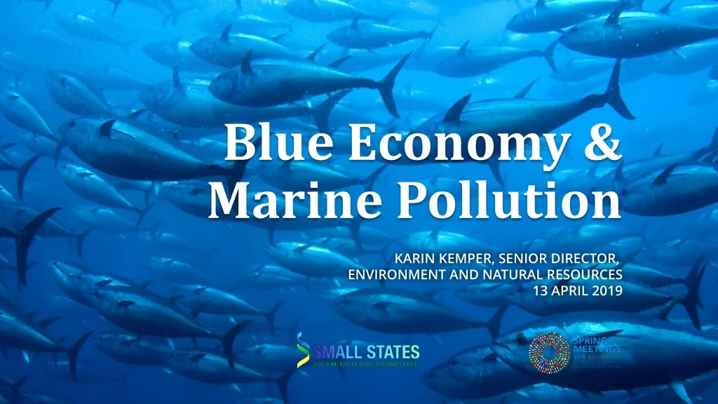 blue economy marine pollution