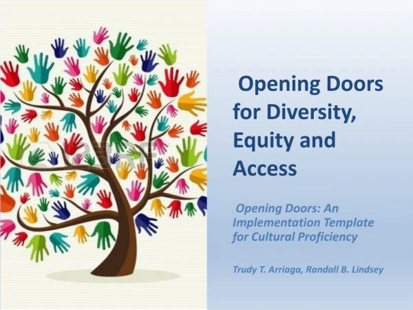 Opening Doors for Diversity, Equity and Access
