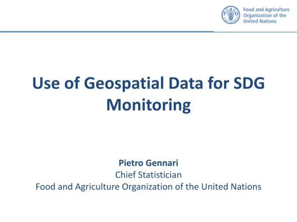 Use of Geospatial Data for SDG Monitoring