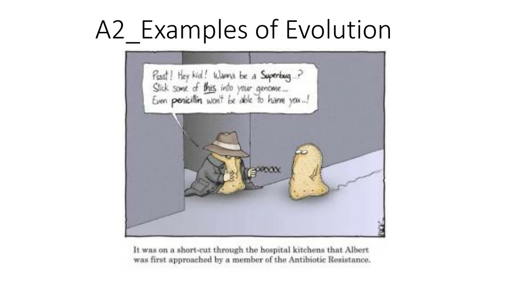 a2 examples of evolution