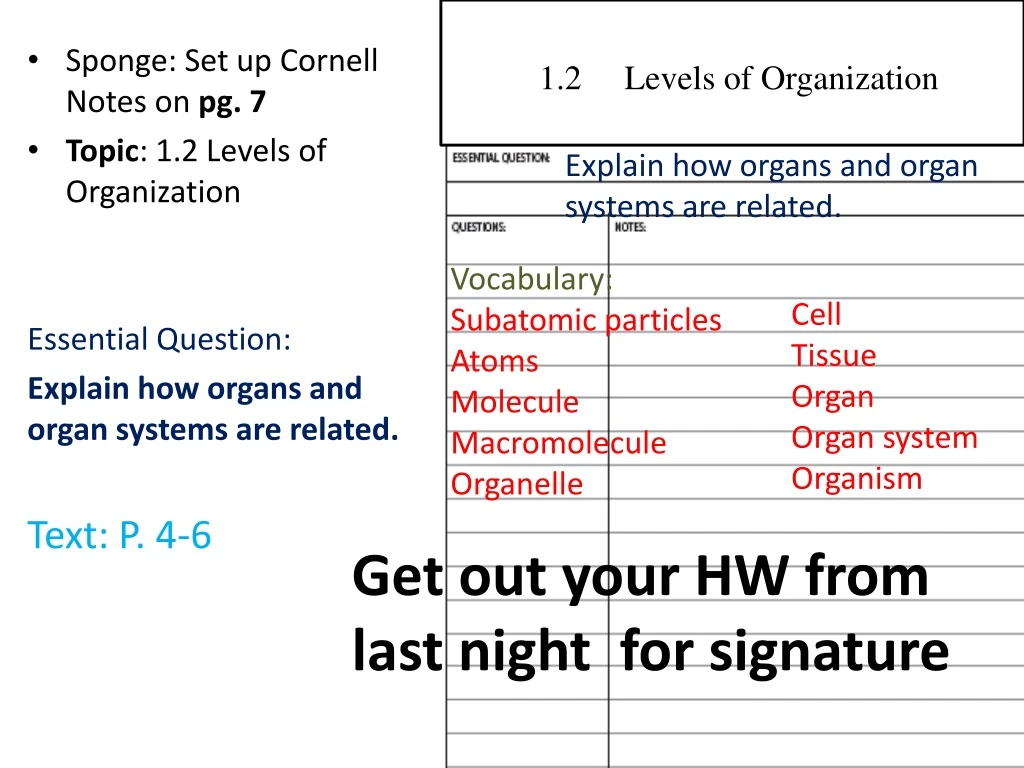 1 2 levels of organization