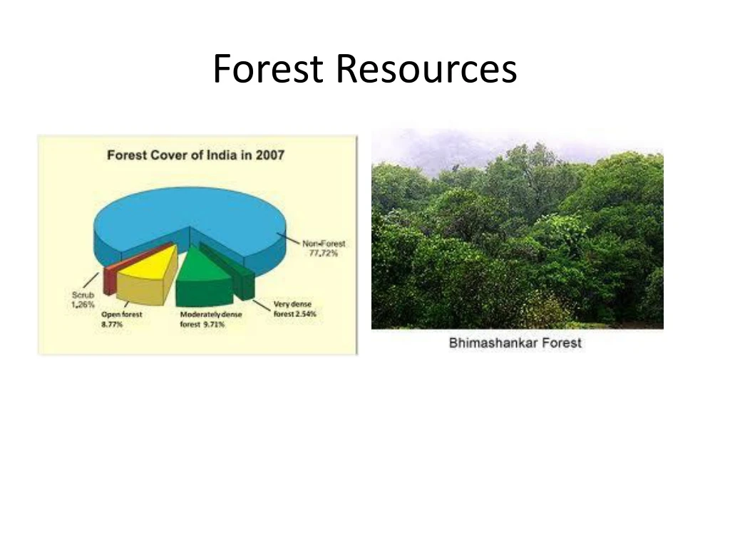 forest resources