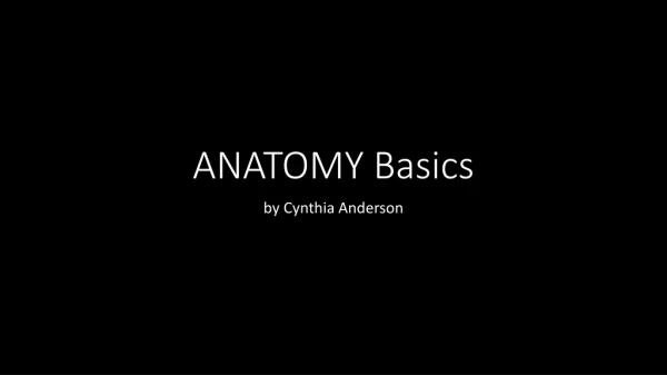 ANATOMY Basics