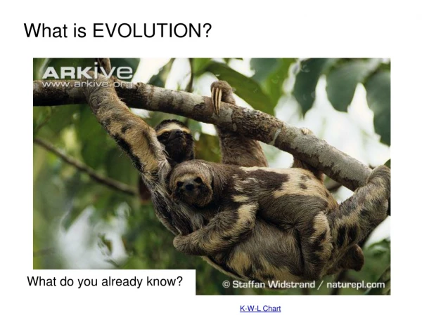 What is EVOLUTION?