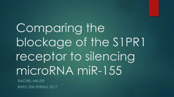 Comparing the blockage of the S1PR1 receptor to silencing microRNA miR-155