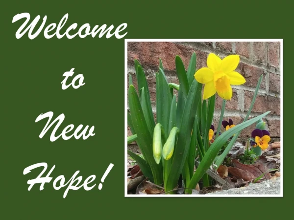 Welcome to New Hope!