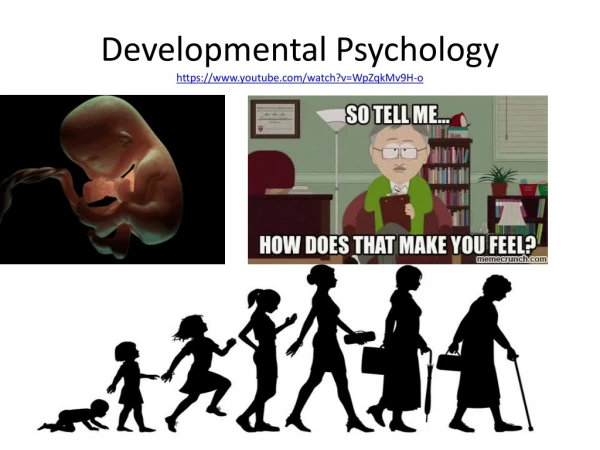 Developmental Psychology https://youtube/watch?v=WpZqkMv9H-o