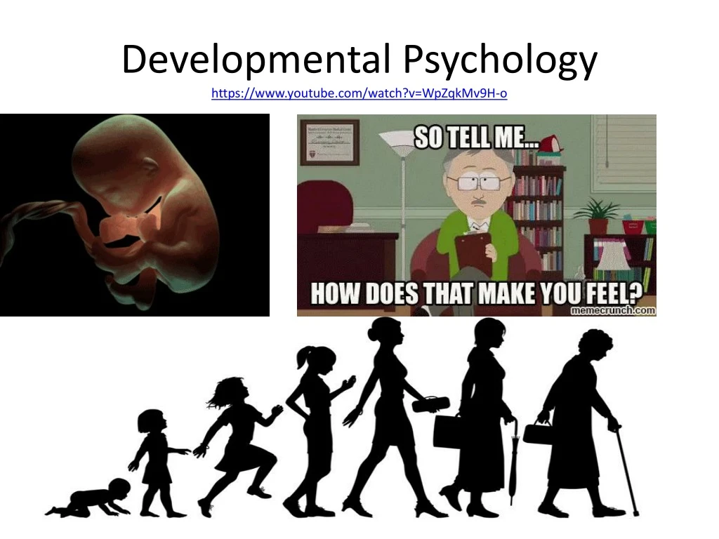 developmental psychology https www youtube com watch v wpzqkmv9h o