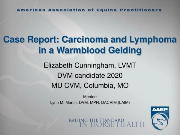 Case Report: Carcinoma and Lymphoma in a Warmblood Gelding