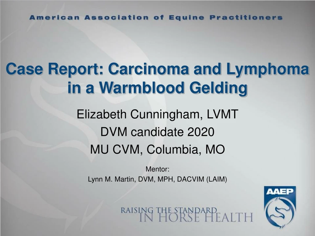 case report carcinoma and lymphoma in a warmblood