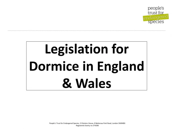 Legislation for Dormice in England &amp; Wales