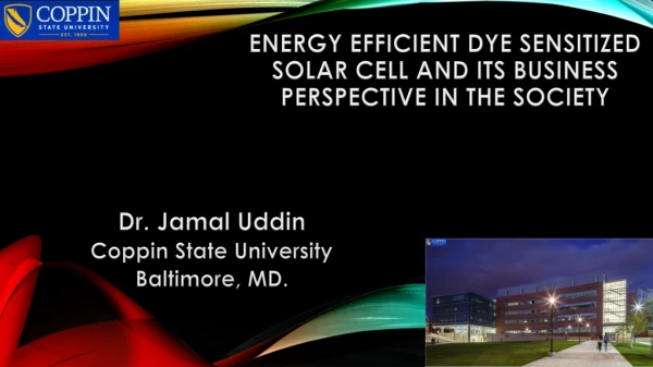 Energy Efficient Dye Sensitized Solar Cell and its Business Perspective in the Society