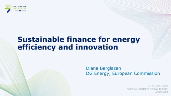 Diana Barglazan DG Energy, European Commission