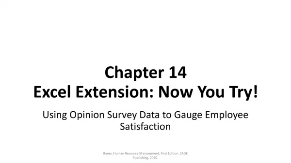 Chapter 14 Excel Extension: Now You Try!