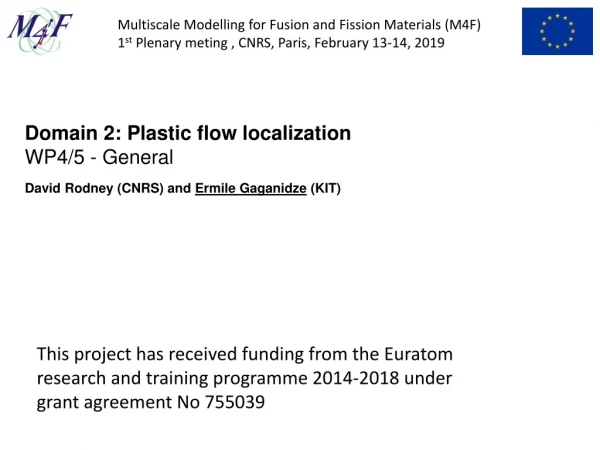 Domain 2: Plastic flow localization WP4/5 - General