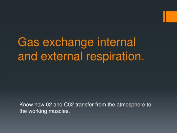 Gas exchange internal and external respiration.