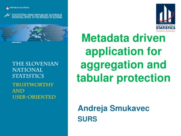Metadata driven application for aggregation and tabular protection