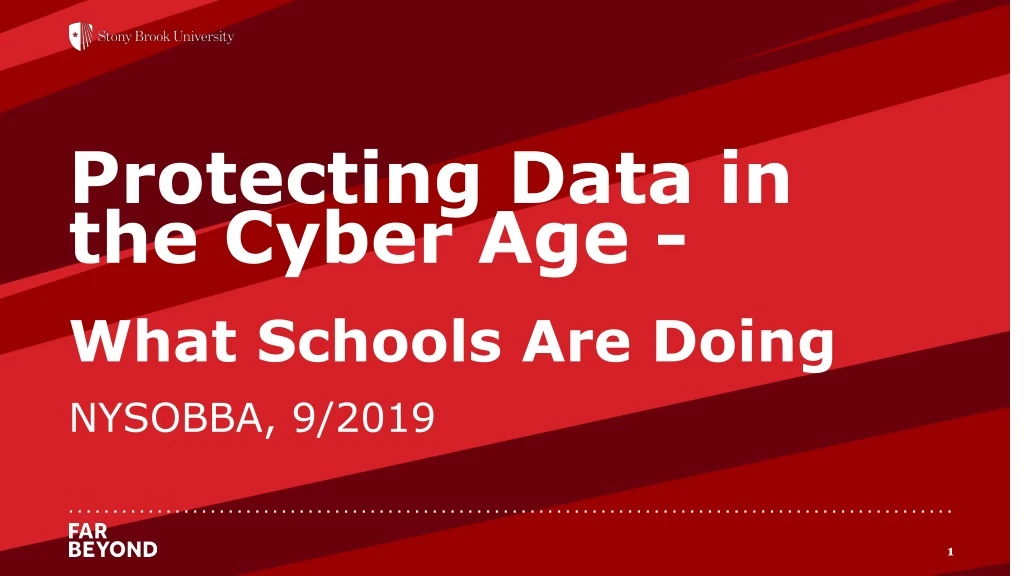 protecting data in the cyber age what schools