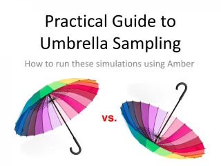 Practical Guide to Umbrella Sampling