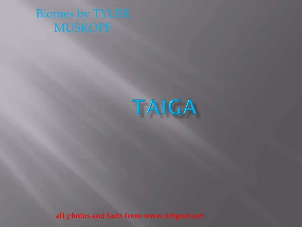 taiga