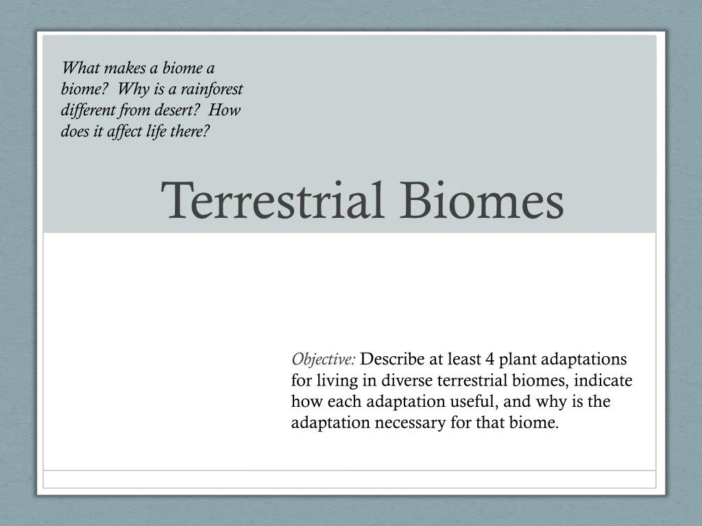 terrestrial biomes