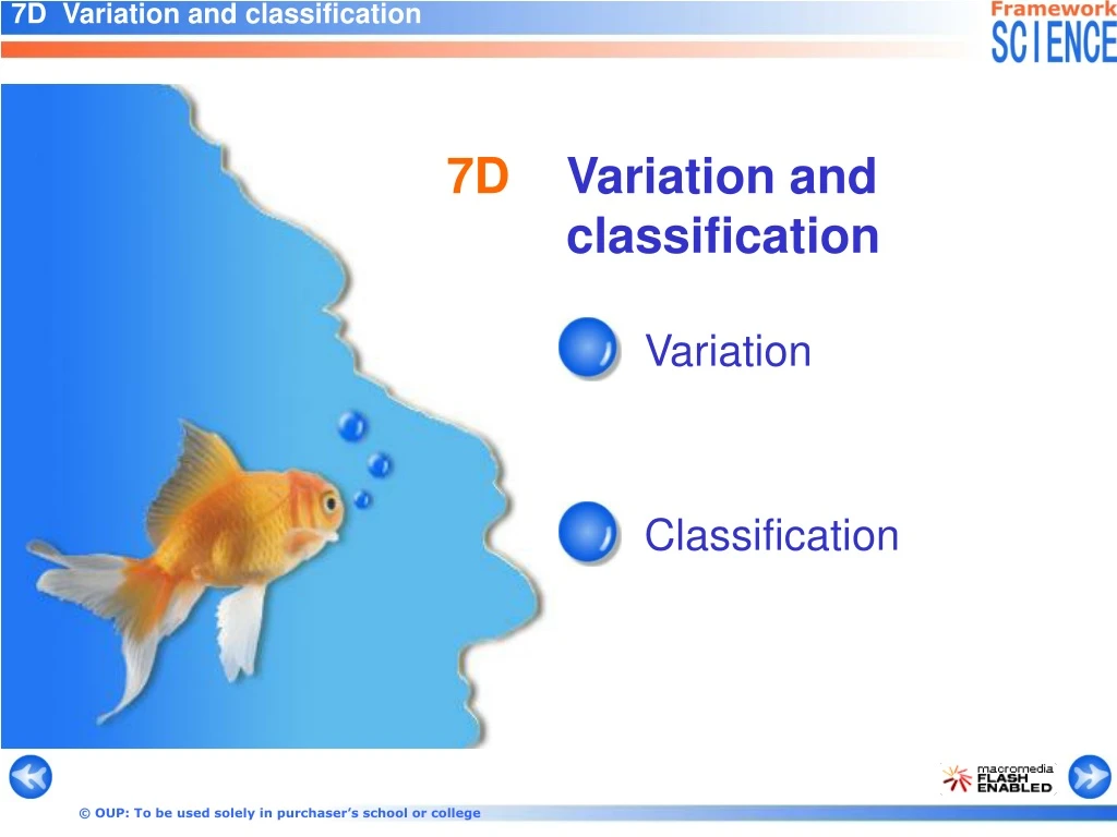7d variation and classification