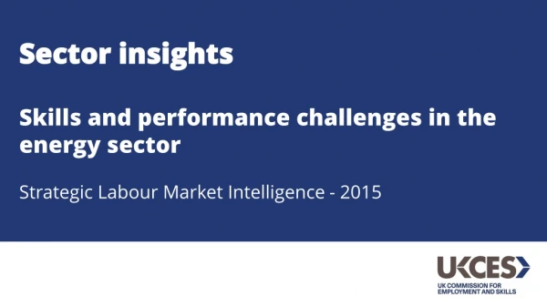 Sector insights Skills and performance challenges in the energy sector