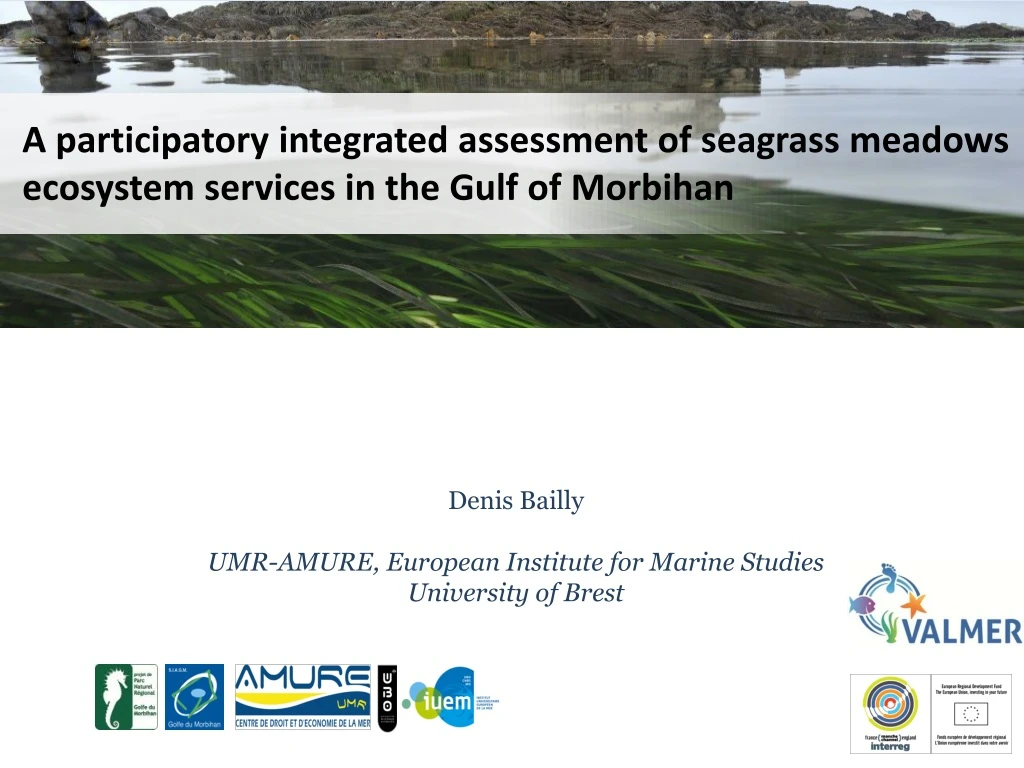 a participatory integrated assessment of seagrass