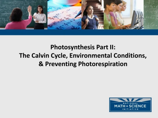 Photosynthesis Part II: